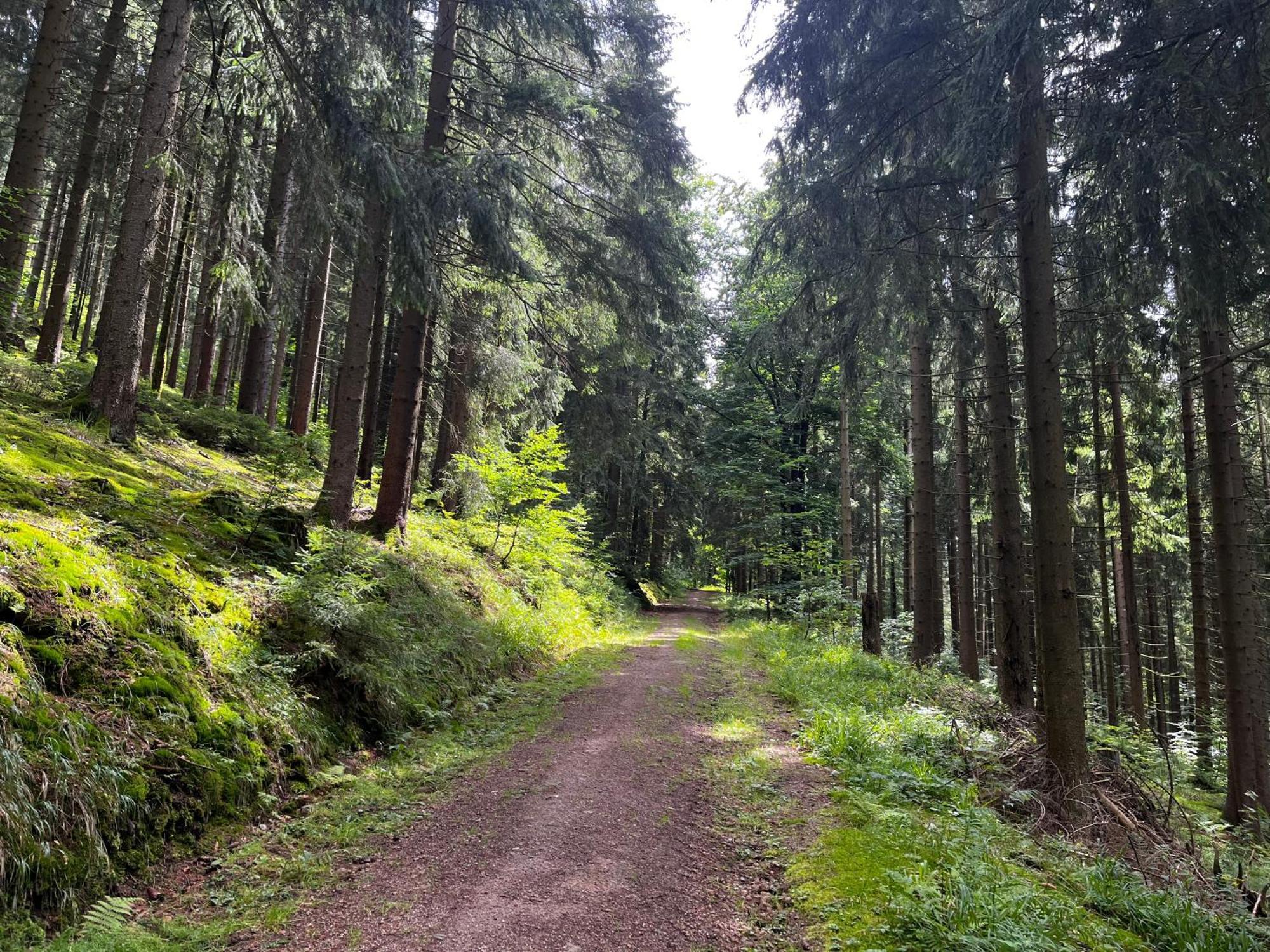 Gaestehaus Im Erzgebirge Zwoenitz ภายนอก รูปภาพ